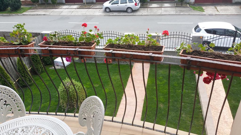 Family Pension Арад Екстериор снимка